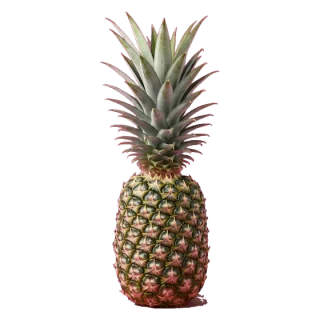 pineapple